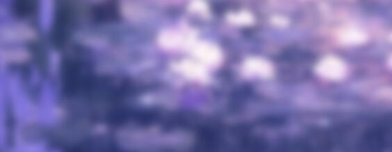 ㅤㅤㅤㅤㅤWHO IS AURÉLIE LUNE?